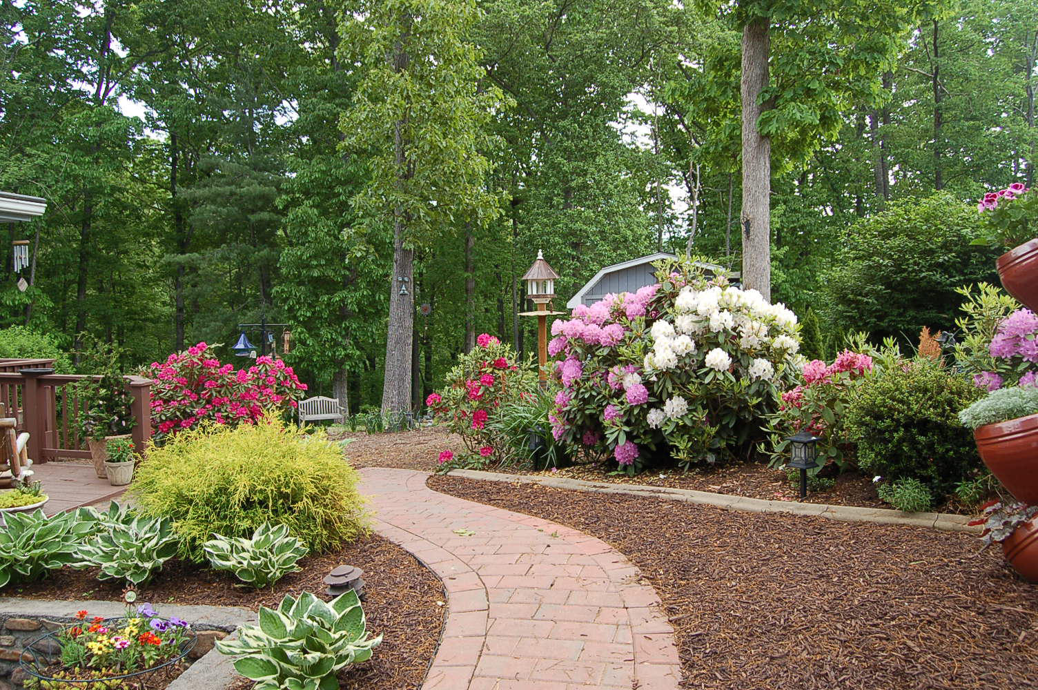 384 Pin Oak Drive Blue Ridge, VA 24064 - Photo 42 of 57 a view of a garden with flowers