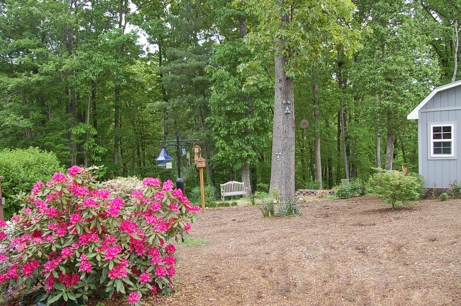 384 Pin Oak Drive Blue Ridge, VA 24064 - Photo 44 of 57 Grounds