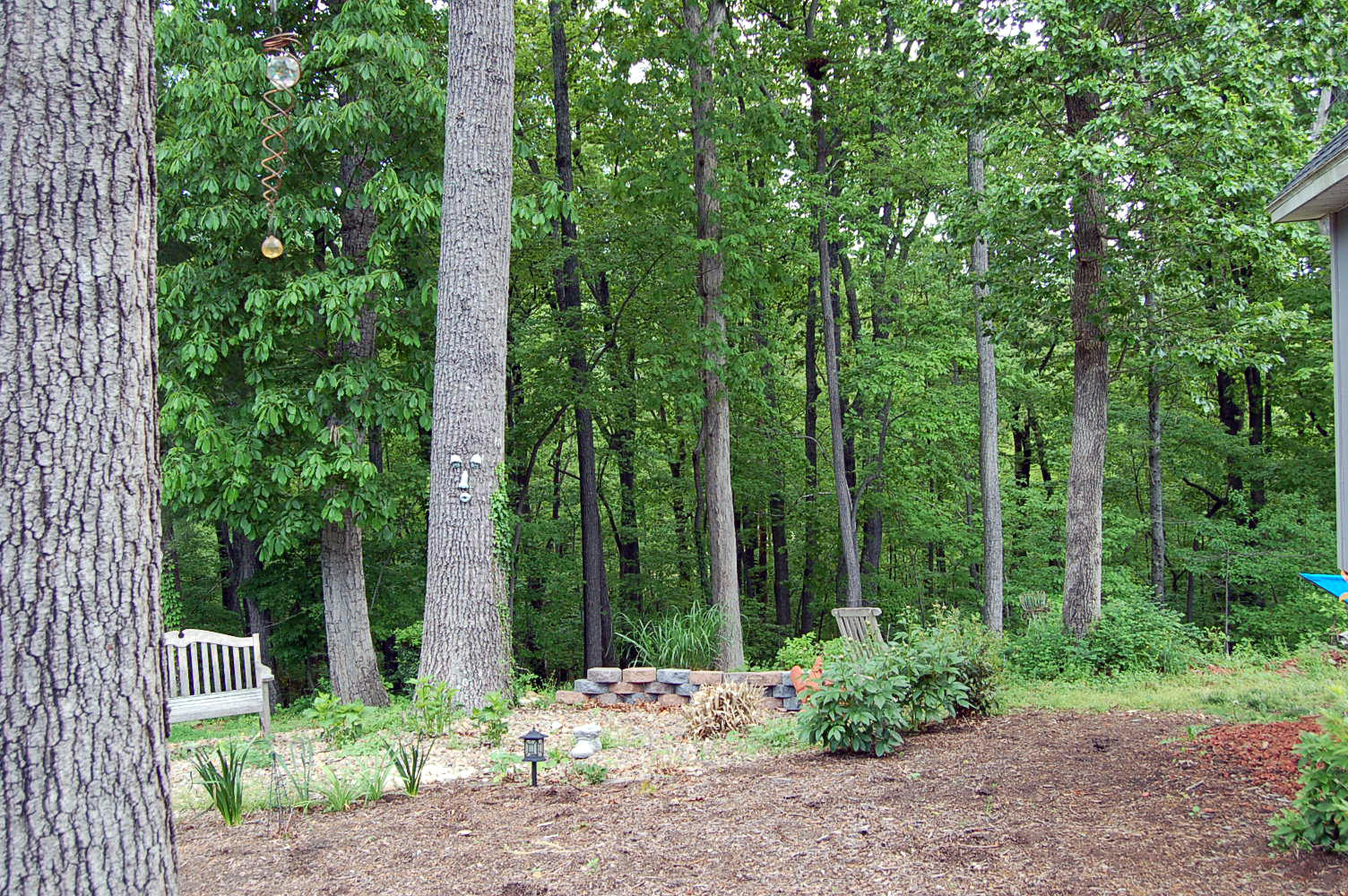 384 Pin Oak Drive Blue Ridge, VA 24064 - Photo 45 of 57 Grounds