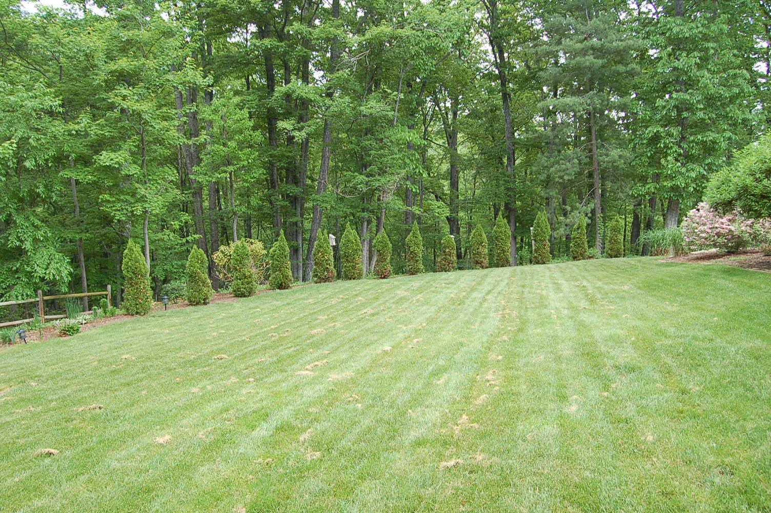 384 Pin Oak Drive Blue Ridge, VA 24064 - Photo 56 of 57 Yard