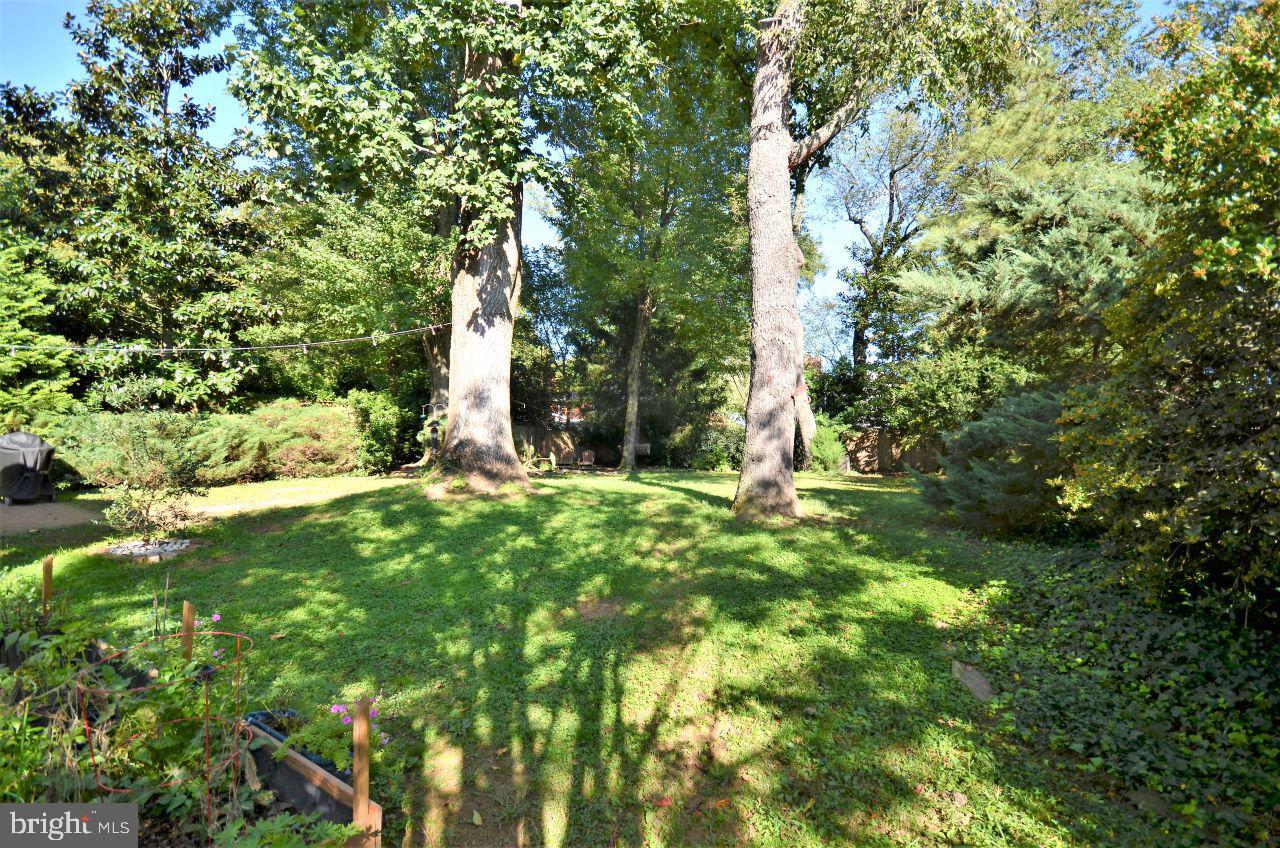 8817 Walnut Hill Road Chevy Chase, MD 20815 - Photo 27 of 30