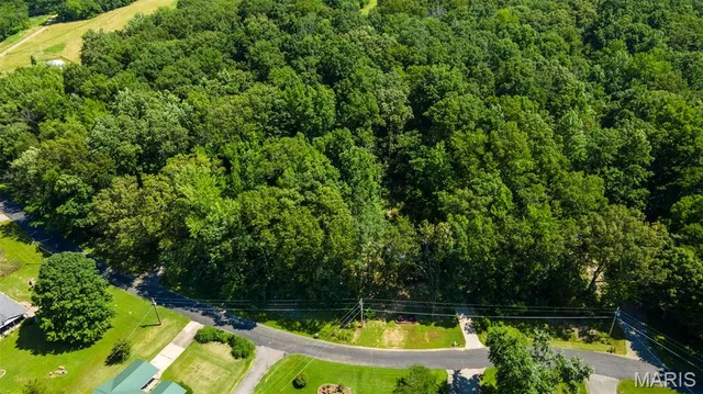 $20,000 | Lots B-47-45 Lots B-47-45 Bella Vista, Jackson, MO 63755