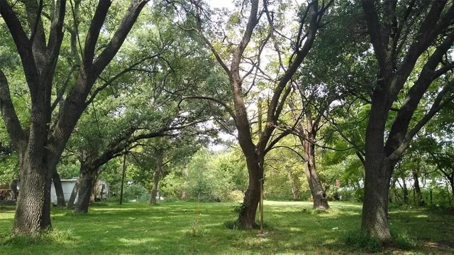 $3,300,000 | 13410 Cullen Boulevard, Houston, TX 77047