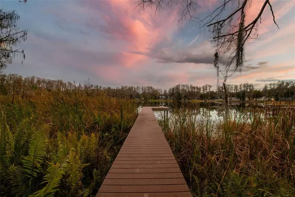 $1,350,000 | 3812 Little Road, Lutz, FL 33548