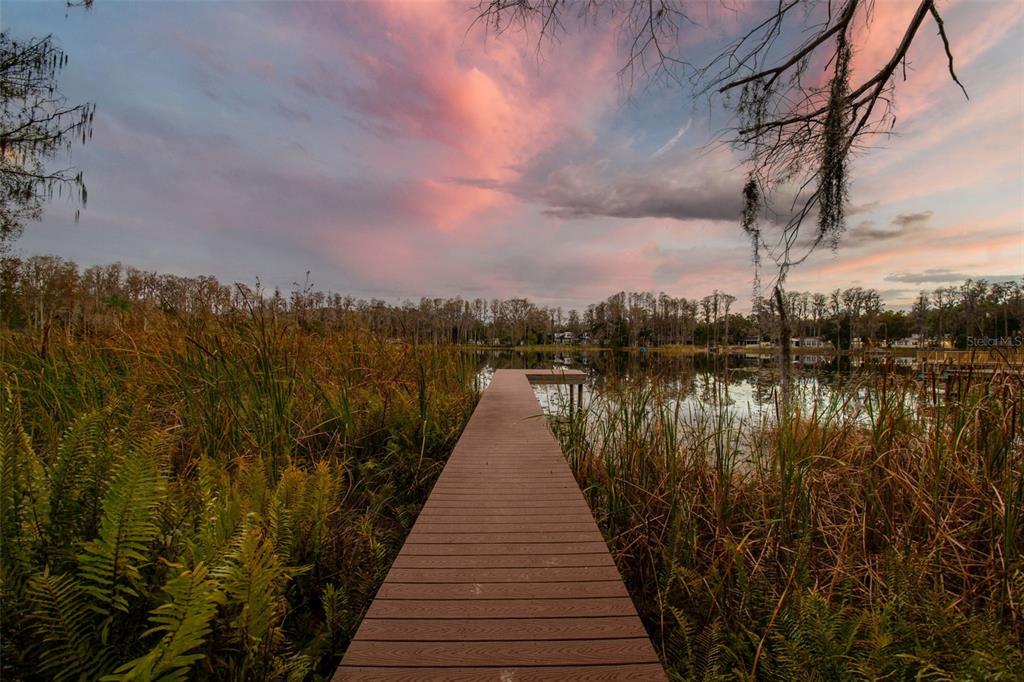 3812 Little Road Lutz, FL 33548 - Photo 2 of 99