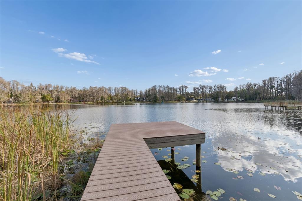 3812 Little Road Lutz, FL 33548 - Photo 6 of 99