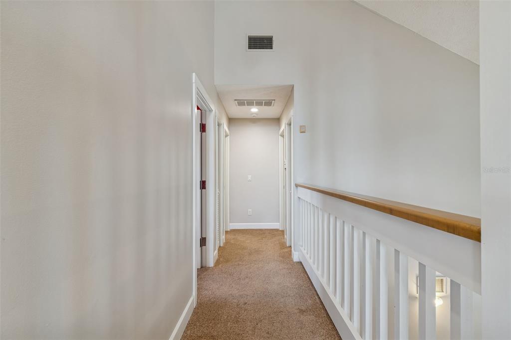 3812 Little Road Lutz, FL 33548 - Photo 62 of 99