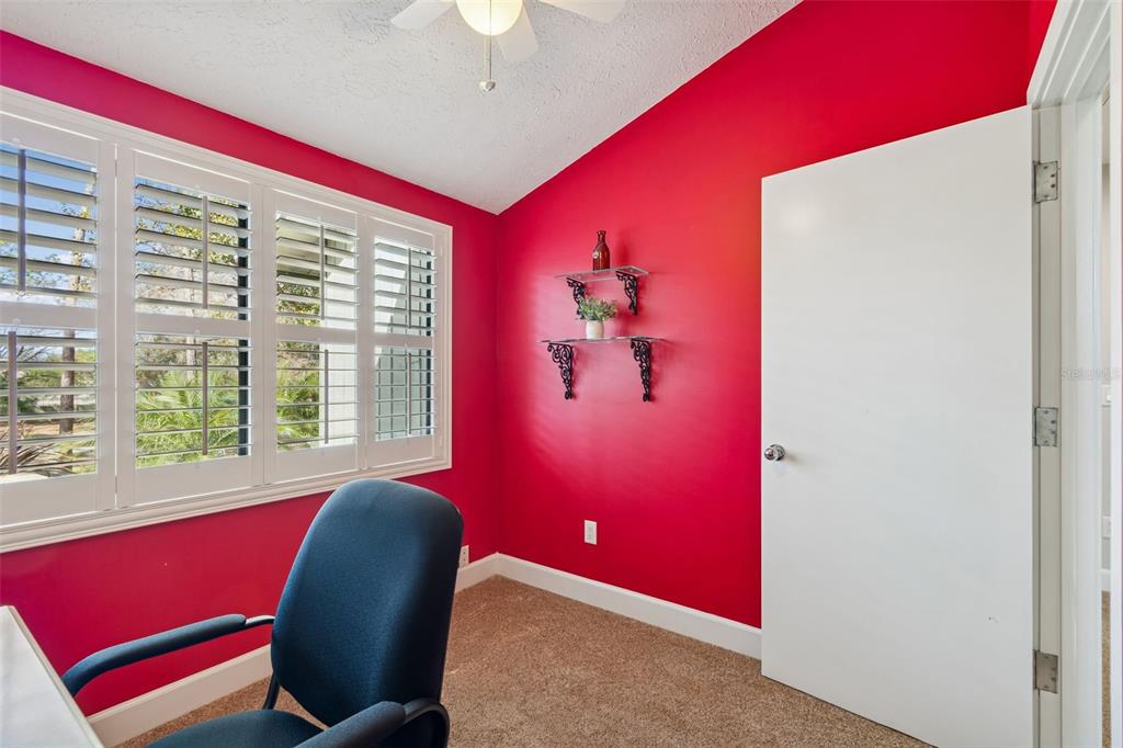 3812 Little Road Lutz, FL 33548 - Photo 63 of 99