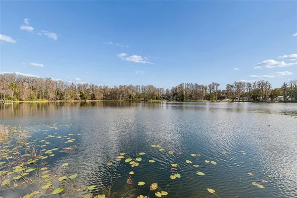 $1,350,000 | 3812 Little Road, Lutz, FL 33548