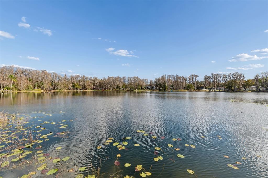 3812 Little Road Lutz, FL 33548 - Photo 7 of 99