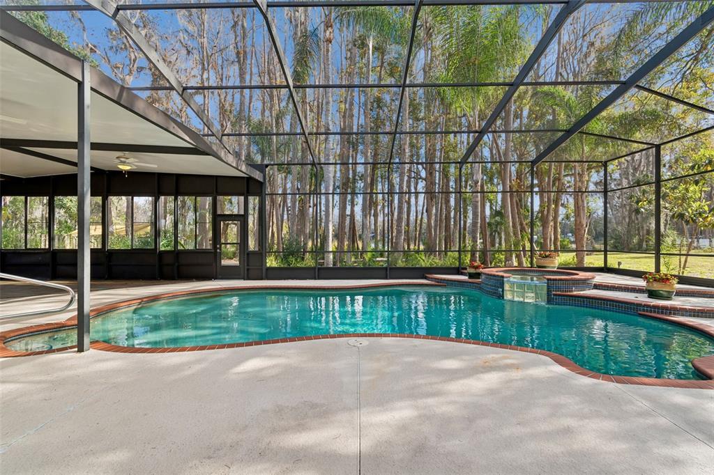 3812 Little Road Lutz, FL 33548 - Photo 73 of 99