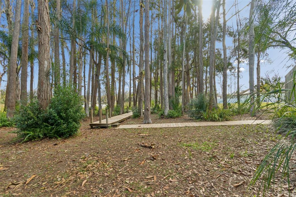 3812 Little Road Lutz, FL 33548 - Photo 82 of 99