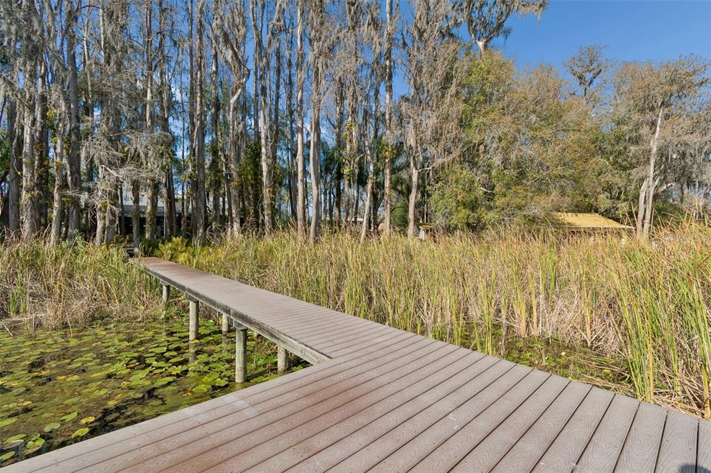 3812 Little Road Lutz, FL 33548 - Photo 85 of 99