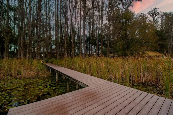$1,350,000 | 3812 Little Road, Lutz, FL 33548