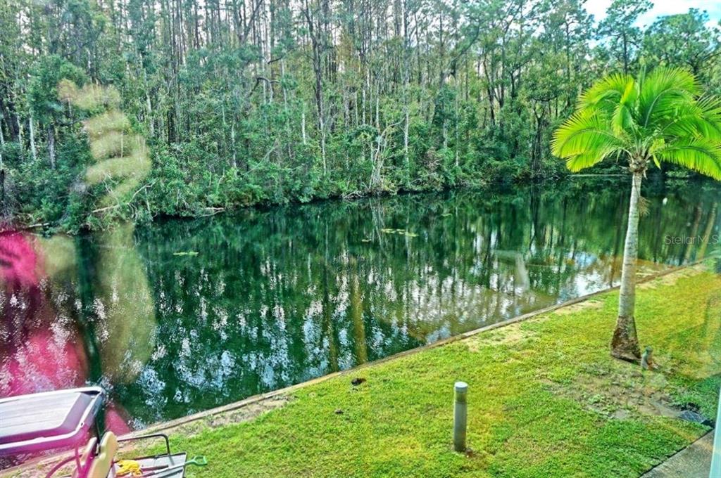 1859 Mazo Manor Road, Unit U6 Lutz, FL 33558 - Photo 32 of 35