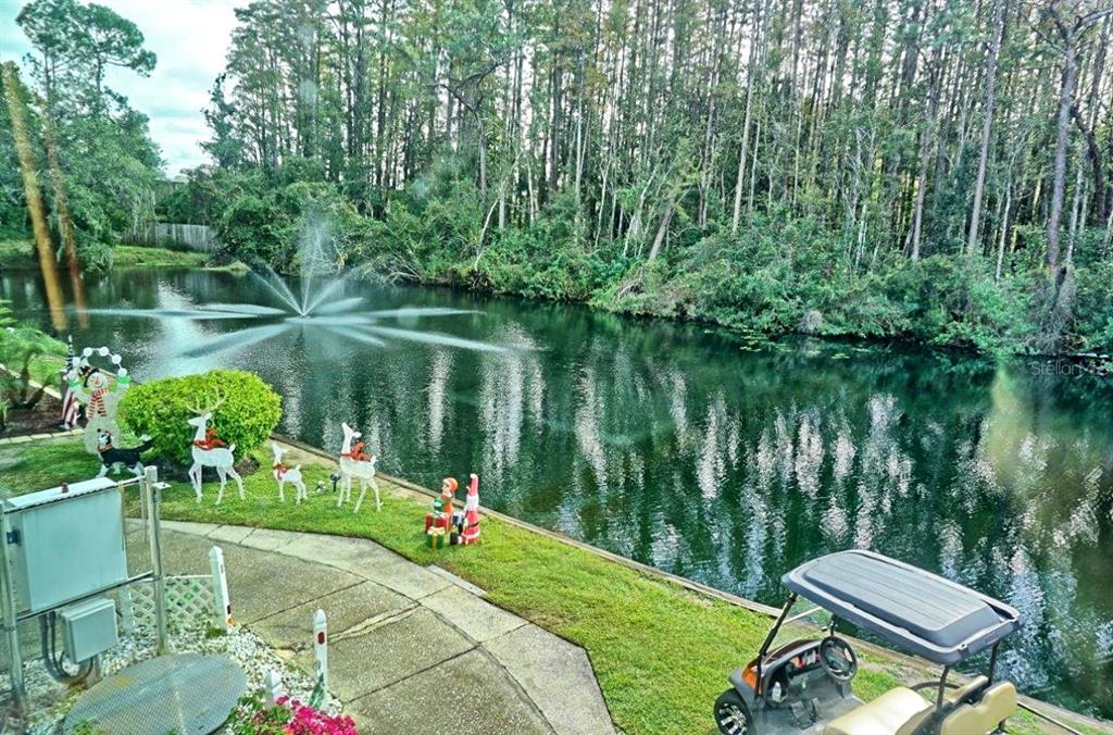 1859 Mazo Manor Road, Unit U6 Lutz, FL 33558 - Photo 33 of 35