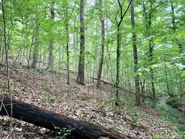 2349 Caldwell Ridge Road Knifley, KY 42753 - Photo 2 of 3 WOODED LAND/TIMBER FOR SALE