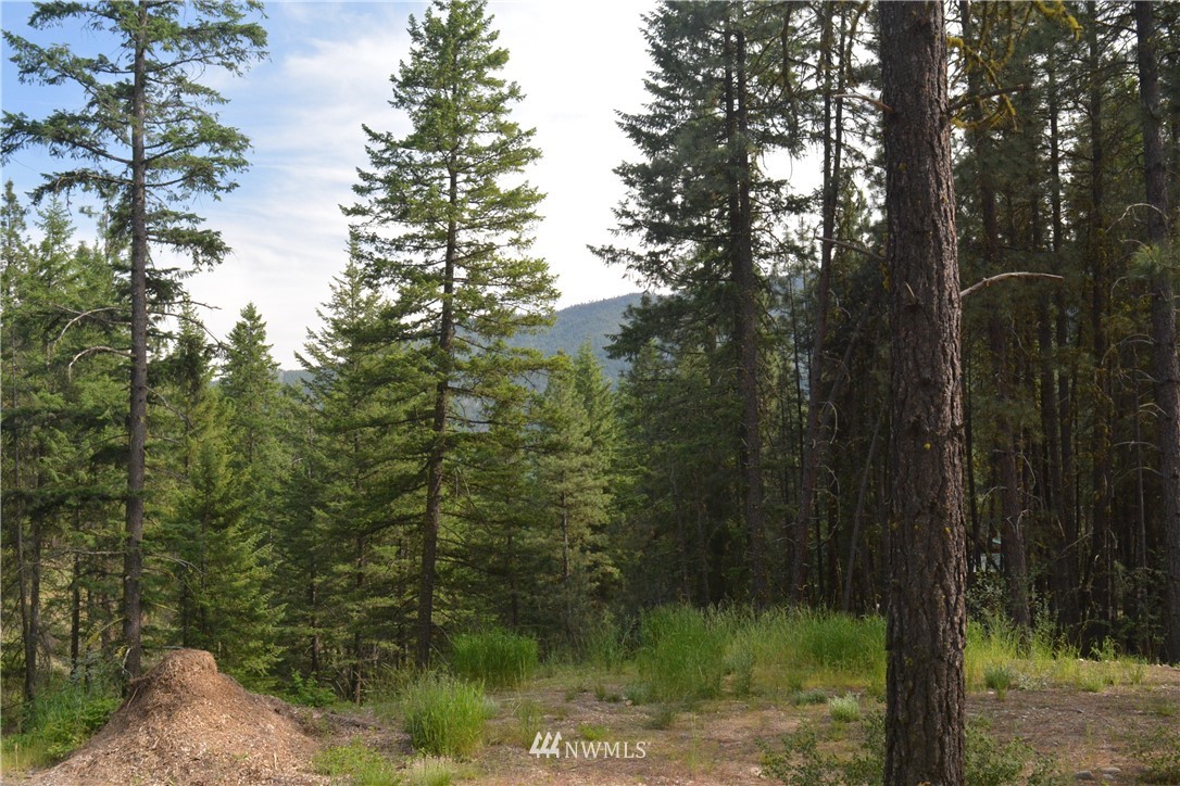 96 Homestead Road Winthrop, WA 98862 - Photo 1 of 18 Gallery Image 1
