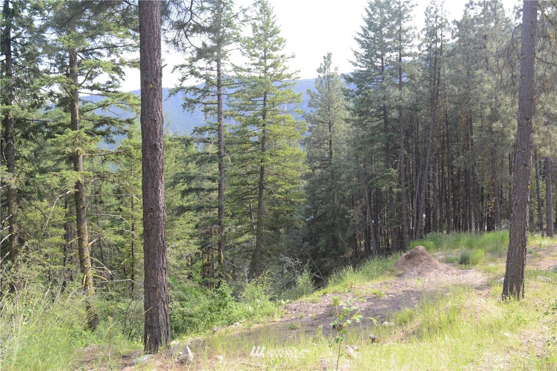 96 Homestead Road Winthrop, WA 98862 - Photo 2 of 18 Gallery Image 2
