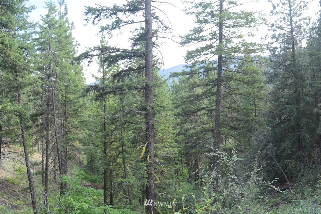 96 Homestead Road Winthrop, WA 98862 - Photo 11 of 18 Gallery Image 11