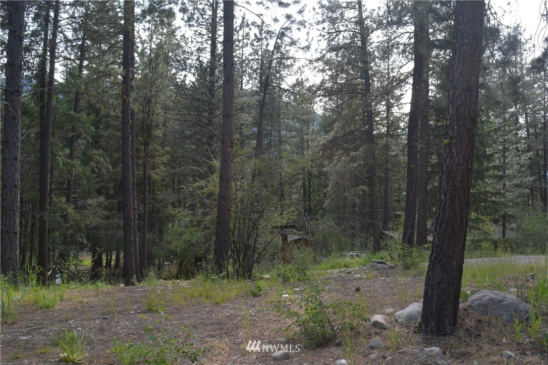 96 Homestead Road Winthrop, WA 98862 - Photo 13 of 18 Gallery Image 13
