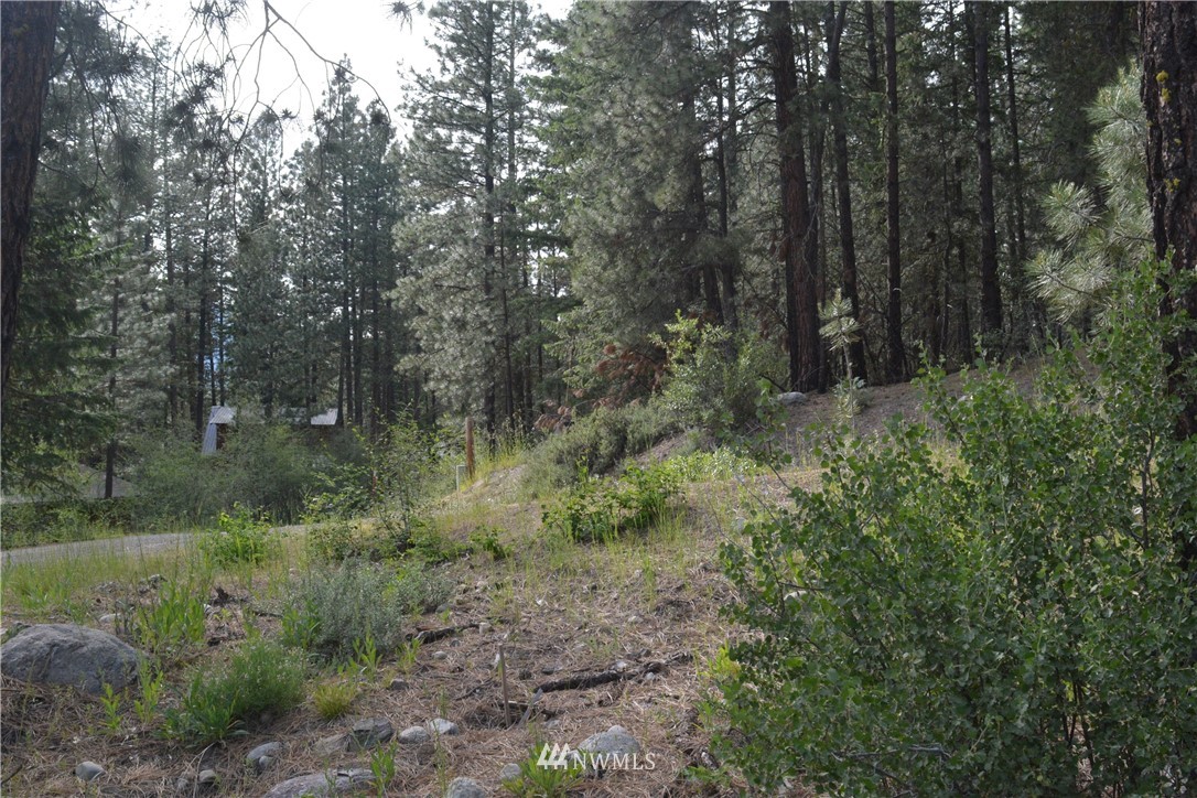 96 Homestead Road Winthrop, WA 98862 - Photo 14 of 18 Gallery Image 14