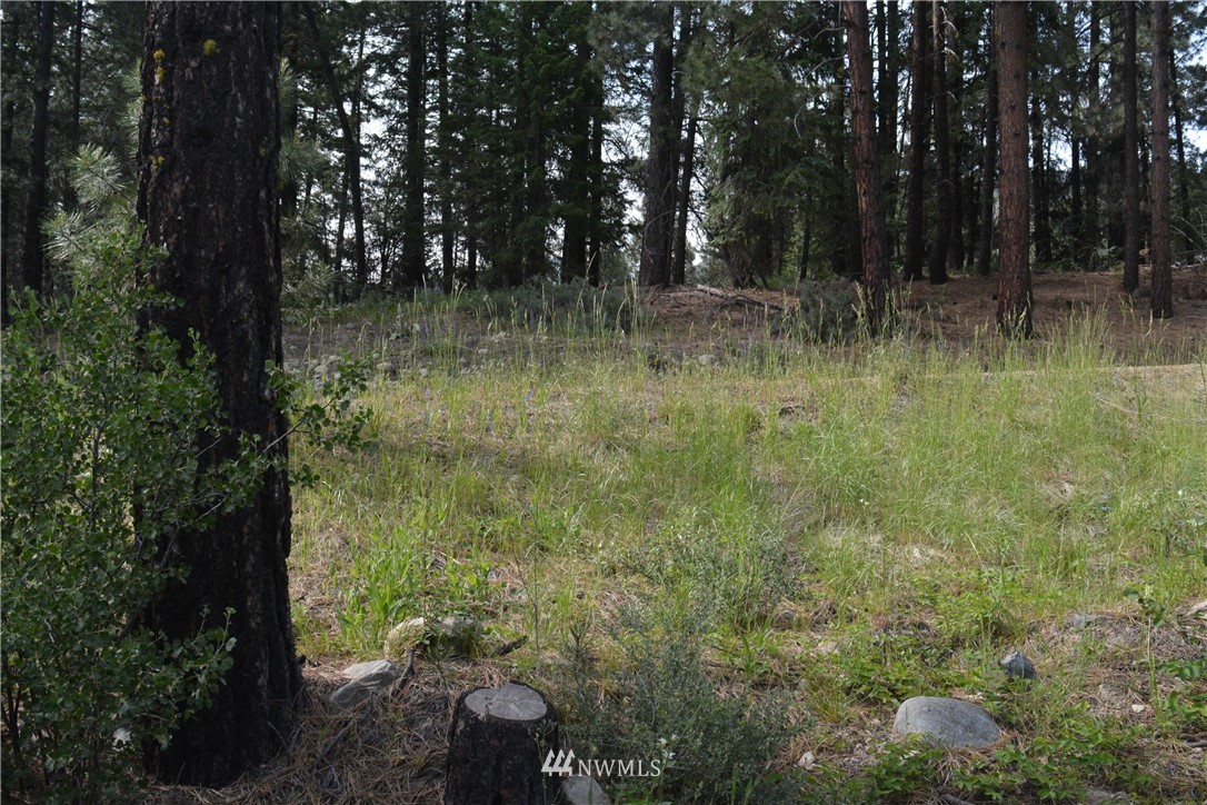 96 Homestead Road Winthrop, WA 98862 - Photo 15 of 18 Gallery Image 15