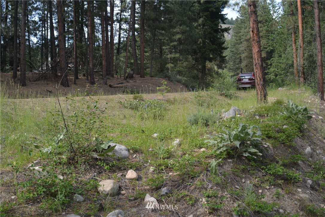 96 Homestead Road Winthrop, WA 98862 - Photo 16 of 18 Gallery Image 16