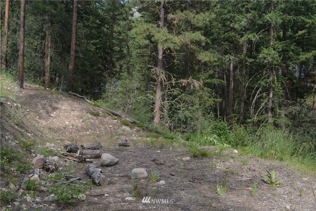 96 Homestead Road Winthrop, WA 98862 - Photo 17 of 18 Gallery Image 17