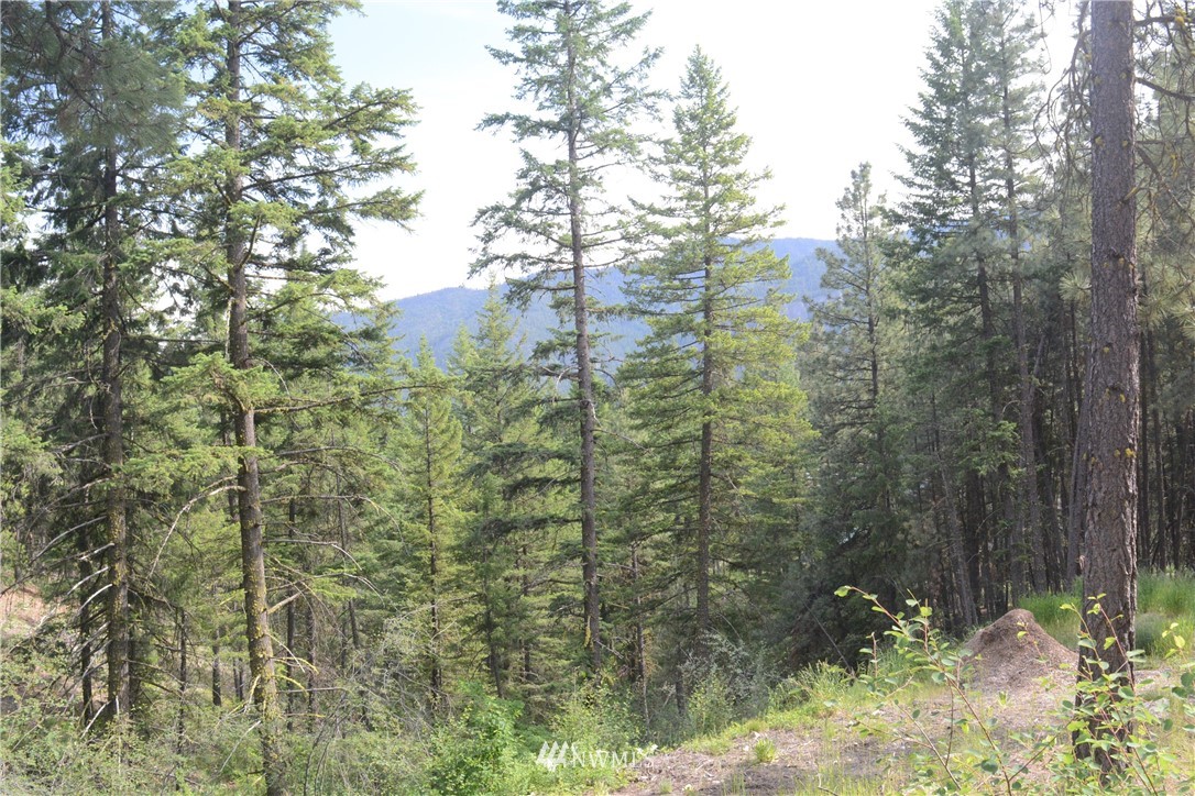 96 Homestead Road Winthrop, WA 98862 - Photo 3 of 18 Gallery Image 3