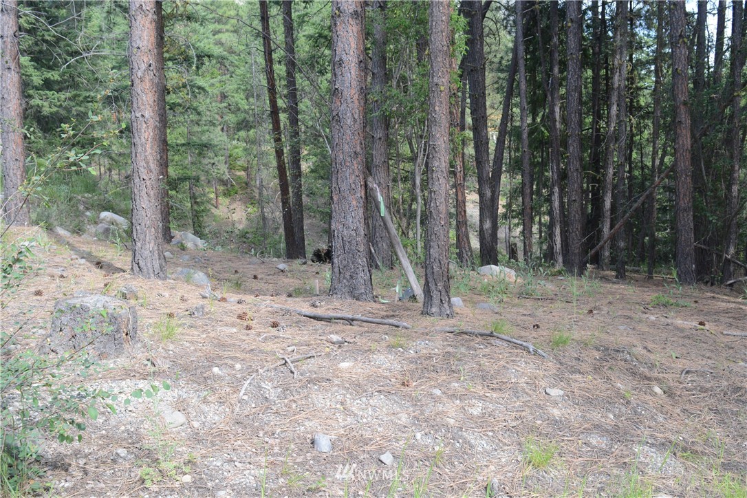 96 Homestead Road Winthrop, WA 98862 - Photo 4 of 18 Gallery Image 4
