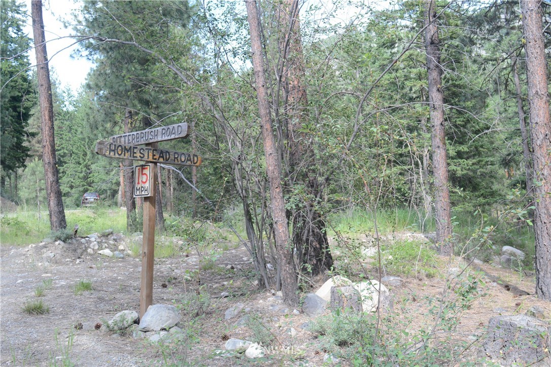 96 Homestead Road Winthrop, WA 98862 - Photo 5 of 18 Gallery Image 5