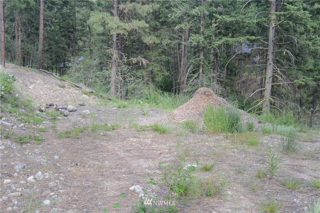96 Homestead Road Winthrop, WA 98862 - Photo 6 of 18 Gallery Image 6