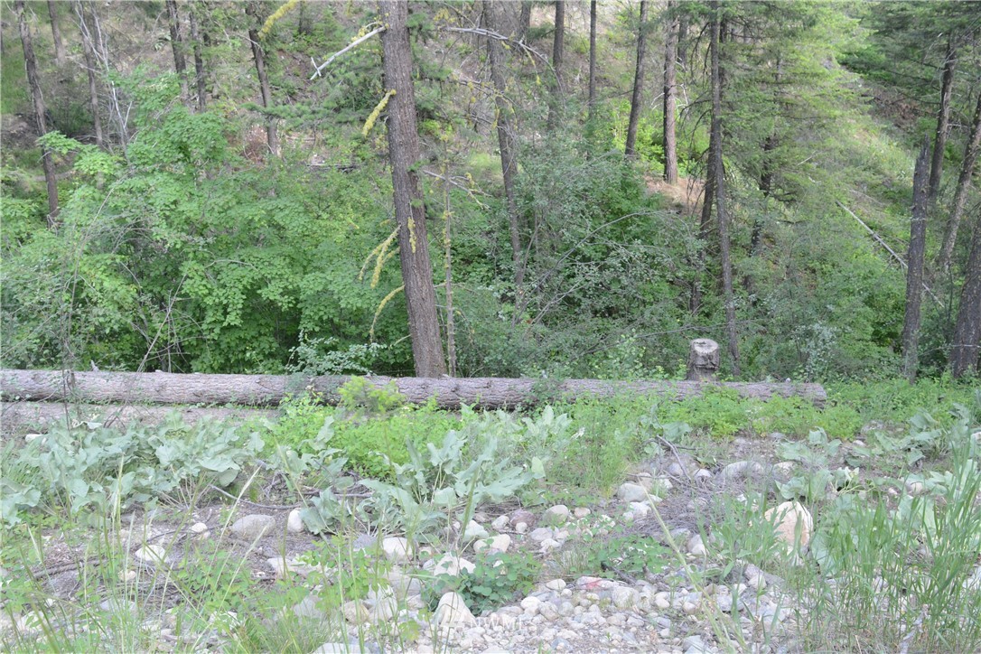 96 Homestead Road Winthrop, WA 98862 - Photo 7 of 18 Gallery Image 7
