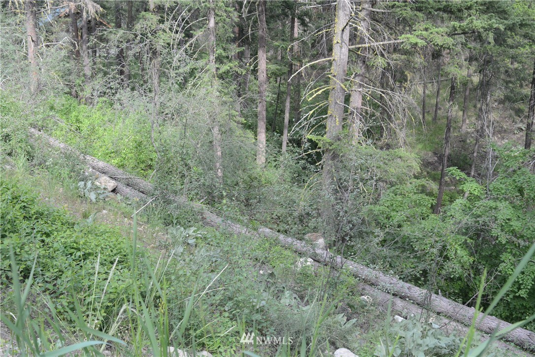 96 Homestead Road Winthrop, WA 98862 - Photo 8 of 18 Gallery Image 8