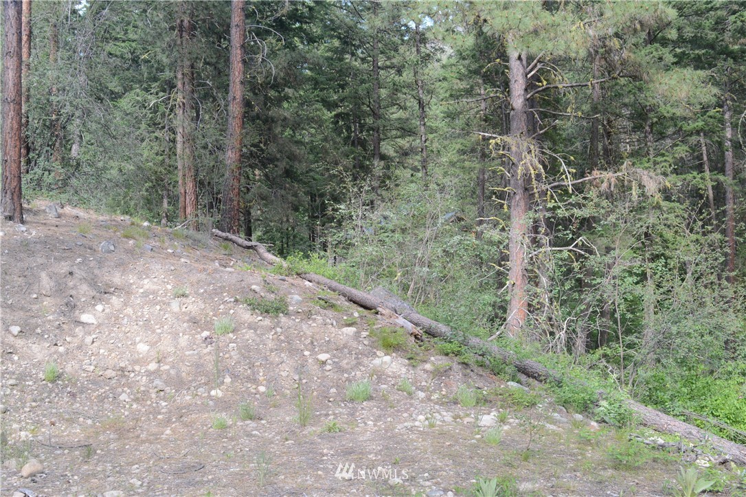 96 Homestead Road Winthrop, WA 98862 - Photo 10 of 18 Gallery Image 10