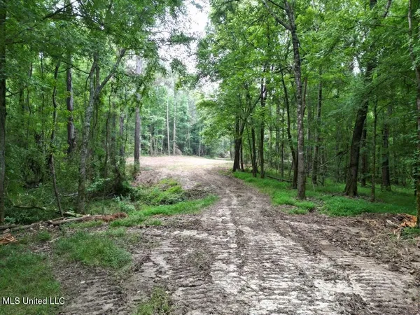 $199,000 | 1 Old Hamburg Road, Roxie, MS 39661