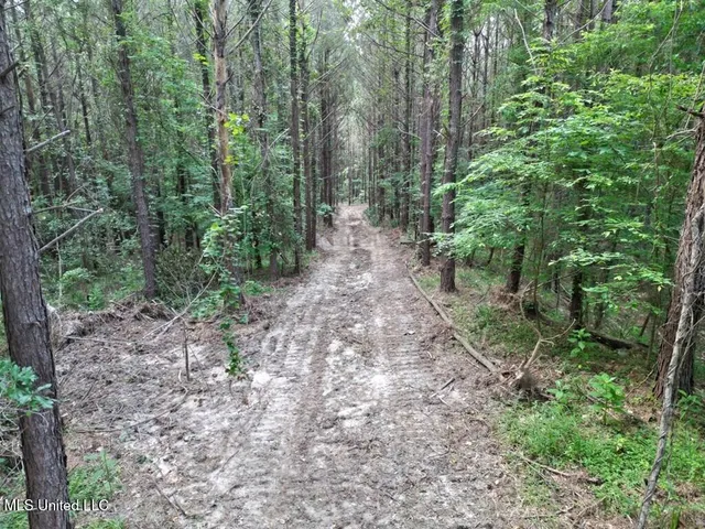 $199,000 | 1 Old Hamburg Road, Roxie, MS 39661