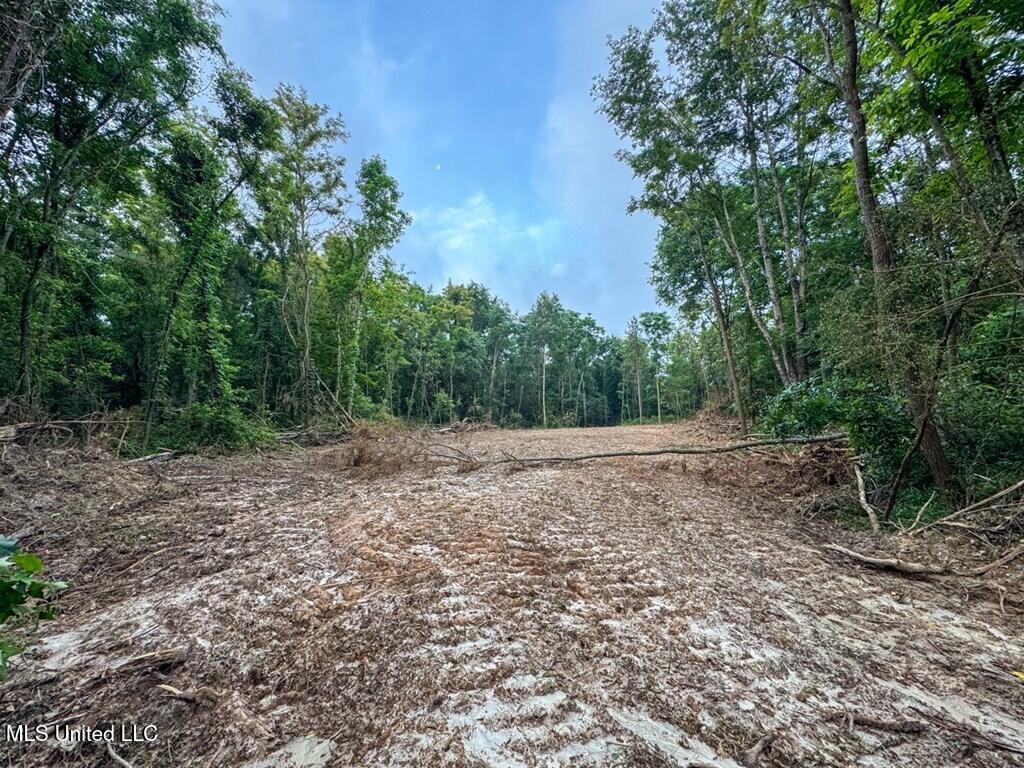 1 Old Hamburg Road Roxie, MS 39661 - Photo 6 of 6 144643_7