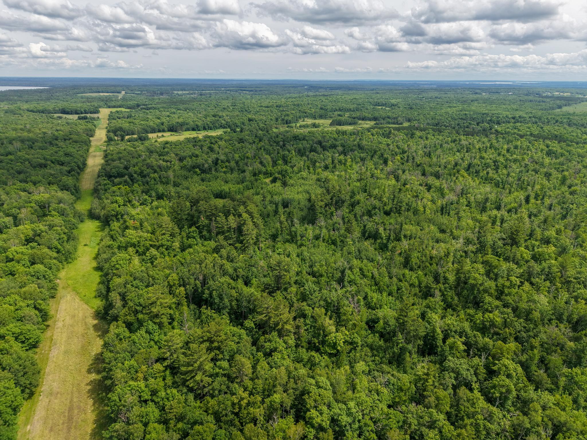 80-acres Pike Bay Loop Road Northwest Cass Lake, MN 56633 - Photo 16 of 27