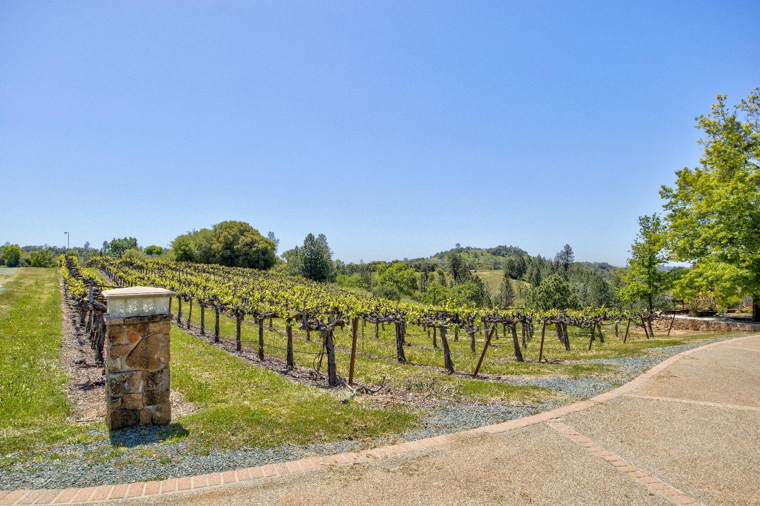 13320 Oakstream Road Plymouth, CA 95669 - Photo 51 of 98