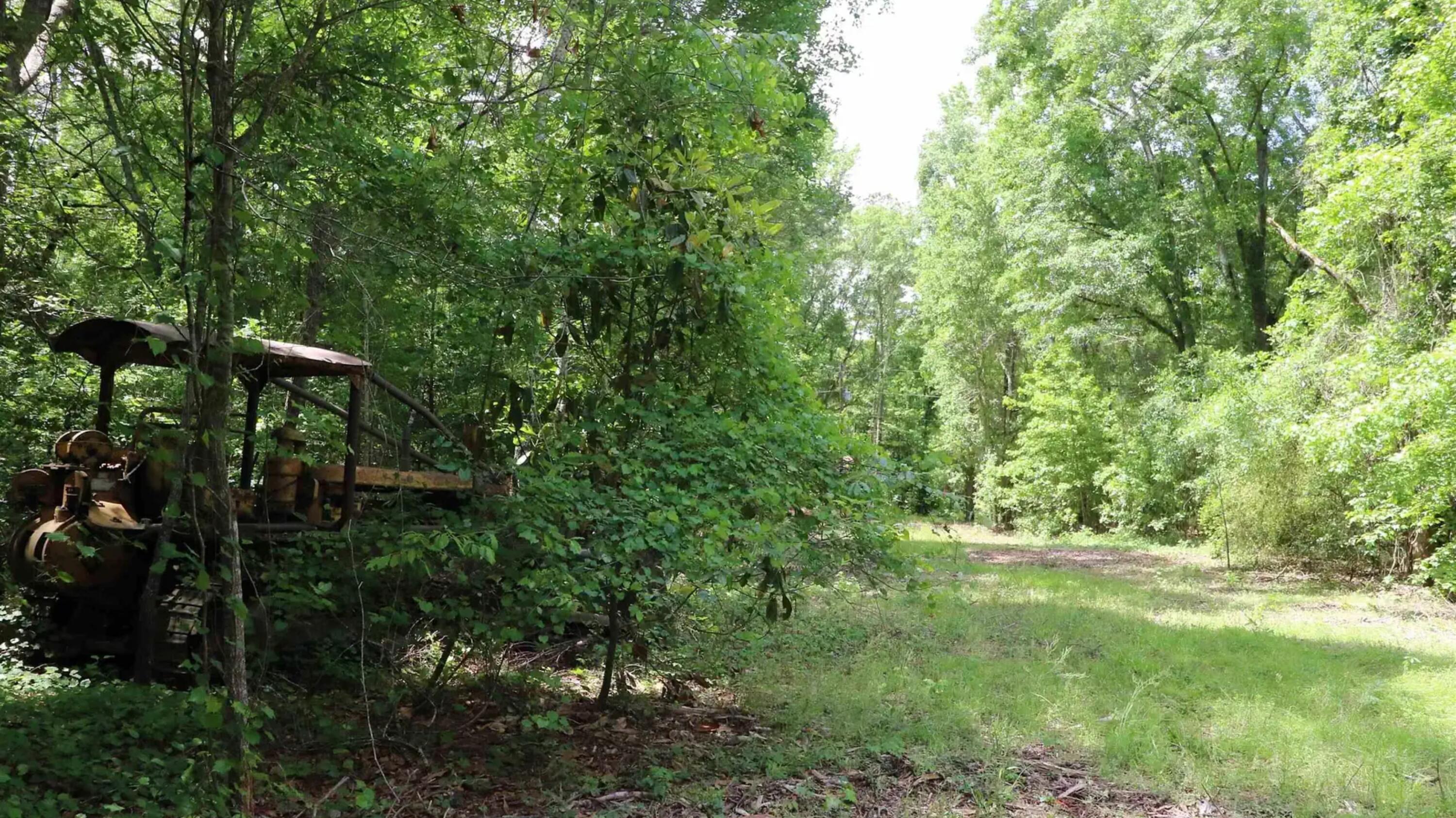 1091 Pine Grove Road Leesville, SC 29070 - Photo 11 of 12 Gallery Image 11