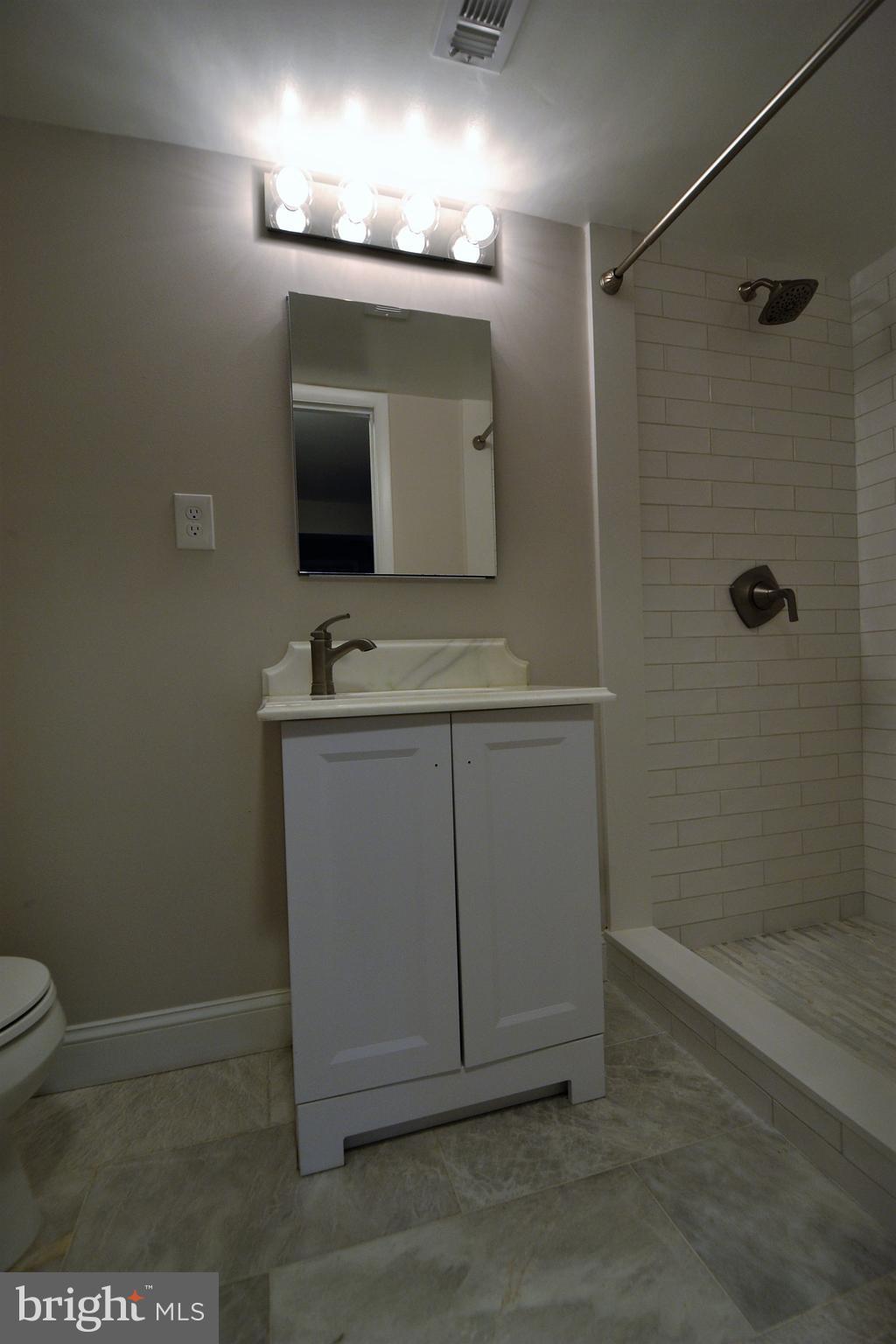 8570 Chester Grove Court Springfield, VA 22153 - Photo 23 of 25 Basement Full Bath