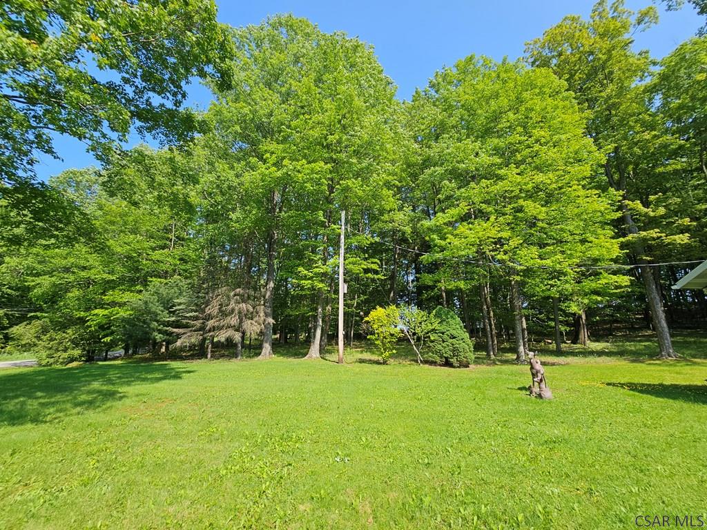 1827 Saylor School Road Boswell, PA 15531 - Photo 10 of 64
