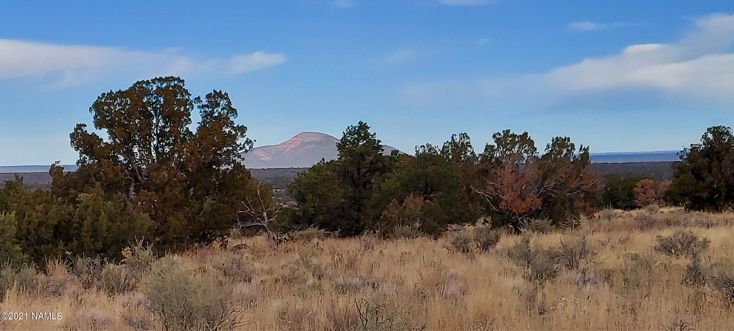 6707 North S Rim Ranch Road, Unit 255 Williams, AZ 86046 - Photo 27 of 63 20211102_095756