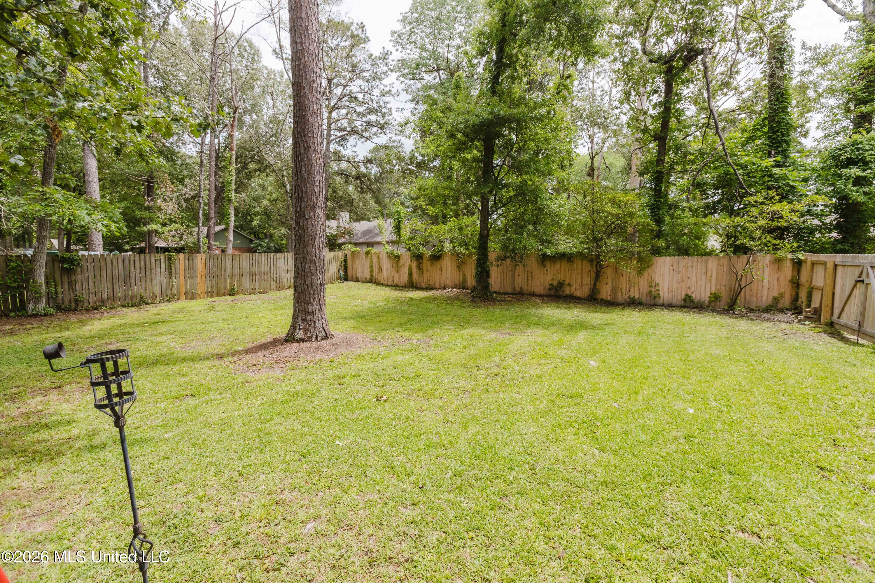 102 Camelia Place Brandon, MS 39047 - Photo 26 of 27 watsonphotography260521134427
