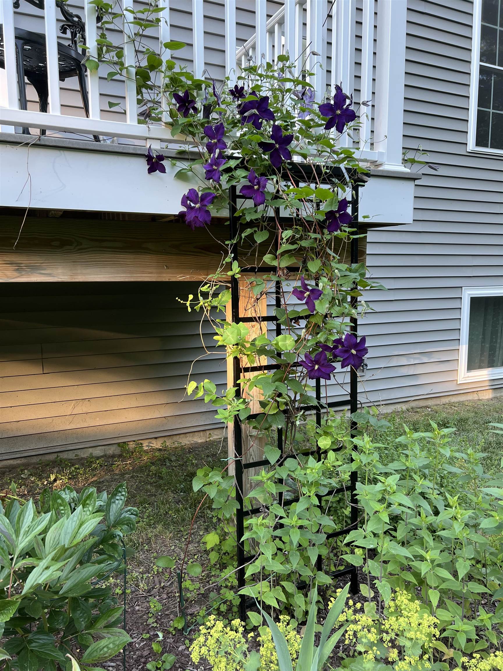49 Florence Lane Colchester, VT 05446 - Photo 51 of 54