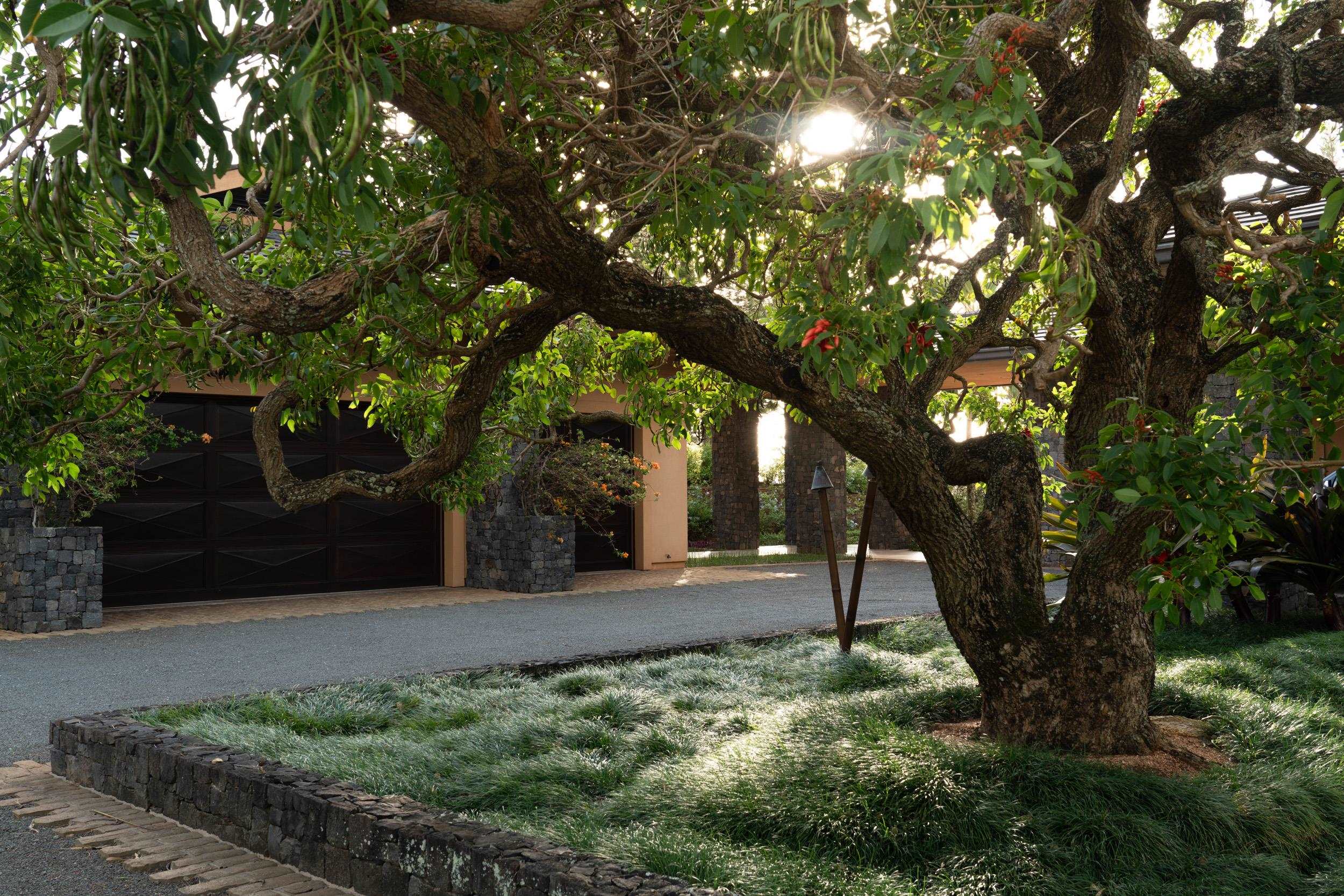 215 Plantation Club Drive Lahaina, HI 96761 - Photo 11 of 50 a backyard of a house with lots of green space