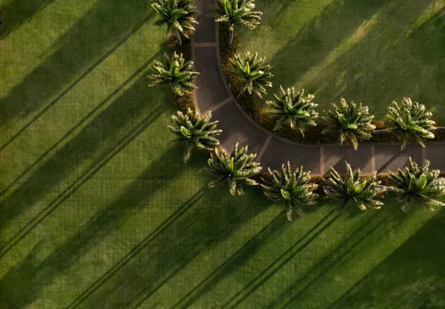 a roof deck with couches and wooden fence