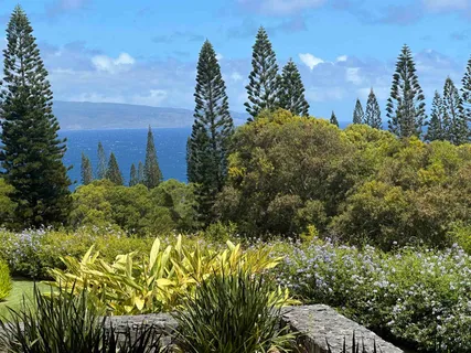 $26,000,000 | 215 Plantation Club Drive, Lahaina, HI 96761